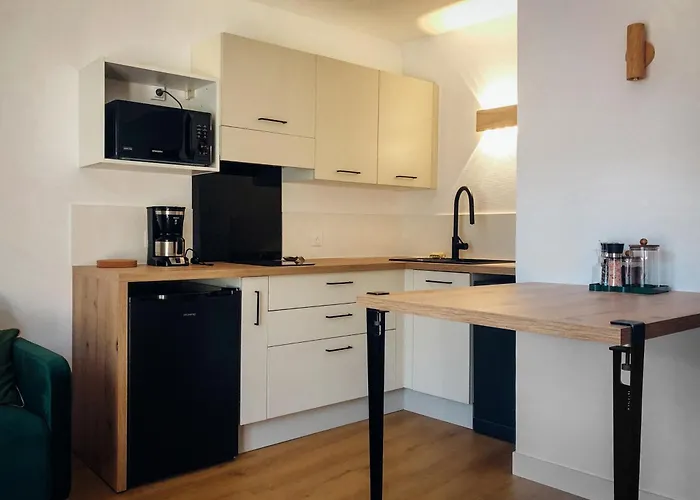 Apartment Cano'py, 2 Pieces Avec Vue Montagne En Coeur De Bagneres-de-Luchon