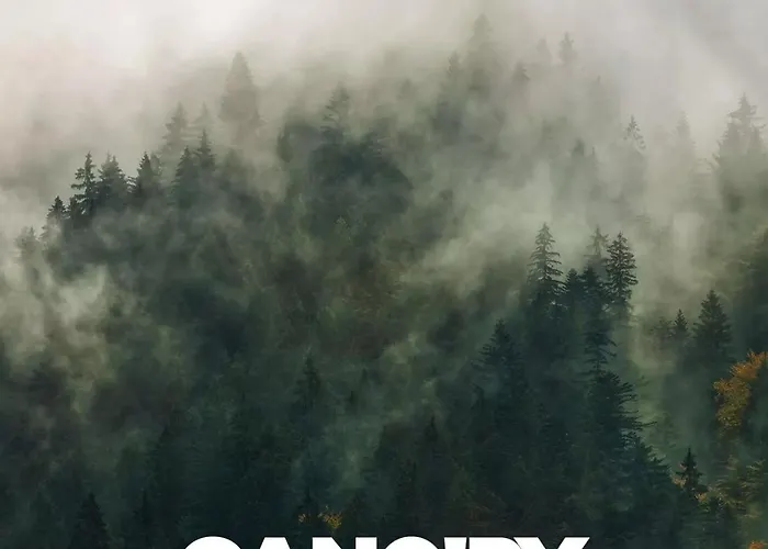 Cano'py, 2 Pieces Avec Vue Montagne En Coeur De Apartment